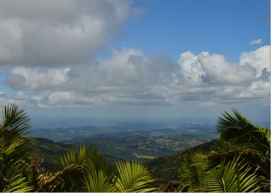 Views From El Yunque