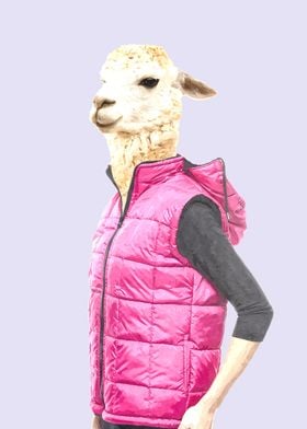Fashionable Llama