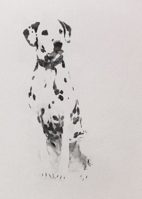 Dalmatian dog watercolor