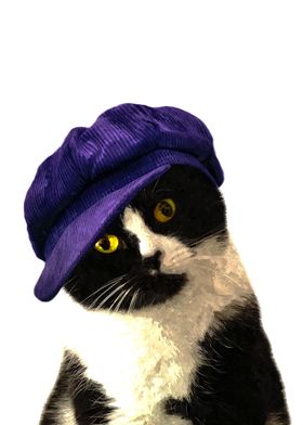 Cat Blue Hat Portrait