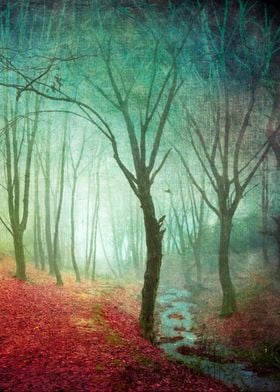Misty Forest Fantasy