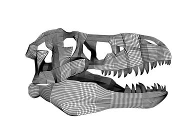 The mesh T Rex skull 