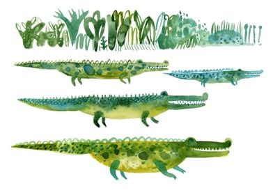 crocodiles illustration