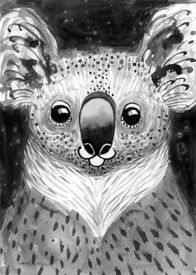 Koala bear illustration