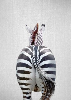 Zebra Tail Colorful