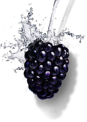 blackberry and splash