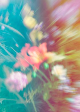 Abstract blurred flowers