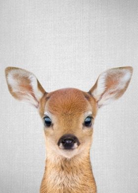 Baby Deer Colorful