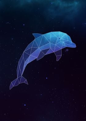 Galaxy Dolphin