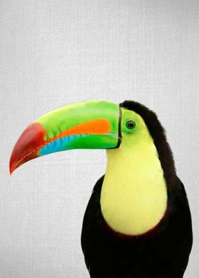 Toucan Colorful