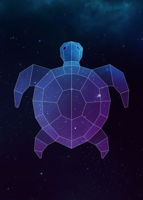 Galaxy Sea Turtle