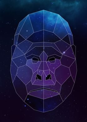 Galaxy Gorilla