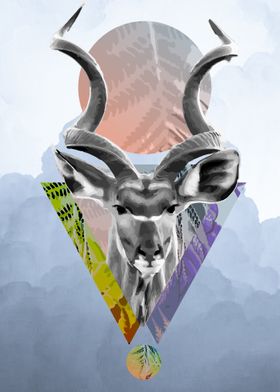 Sacred Kudu