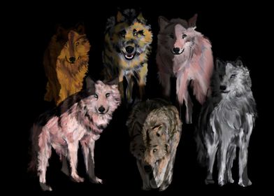 Pack of wolves