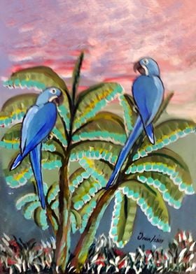 Blue Macaws