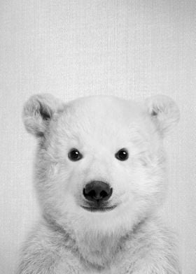 Baby Polar Bear BW