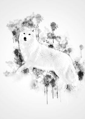 White Wolf Black and White