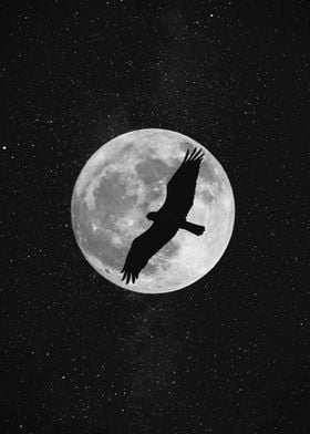 Full moon and falcon