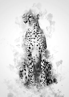 Cheetah Black and White