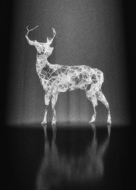 Deer in the Spotlight