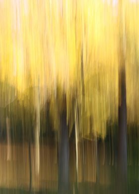 autumn abstract o9