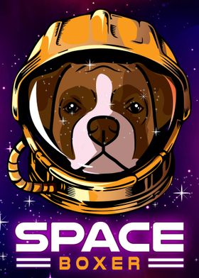 Space Boxer Dog