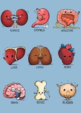 Organs