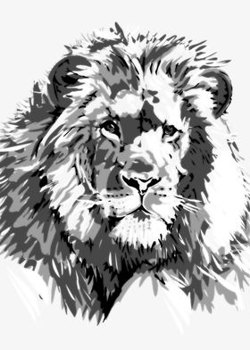 Lion 3