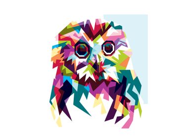 full color owl