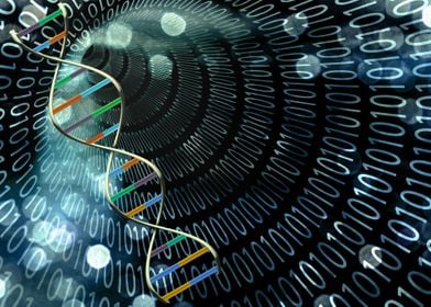 DNA binary code