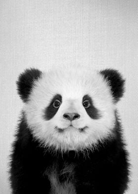 Baby Panda Bear BW