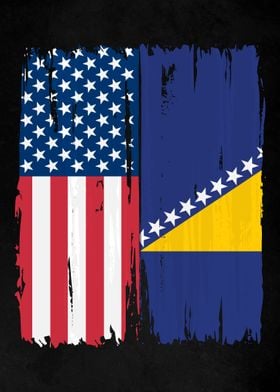 USA Bosnia and Herzegovina