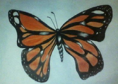 Monarch butterfly