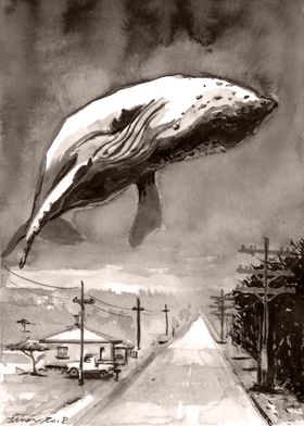 Flying Whale