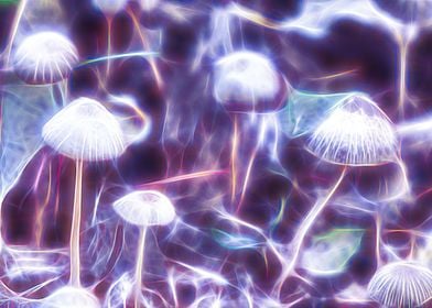 Magical Mushrooms