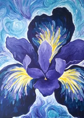 Iris flower fantasy