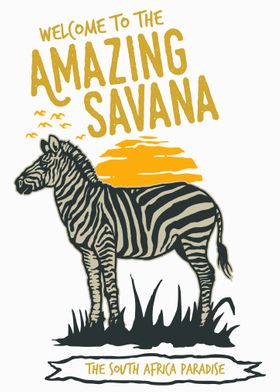 Amazing Savana  Zebra