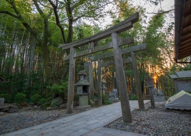 Kyoto Torii  Fushimi Inari