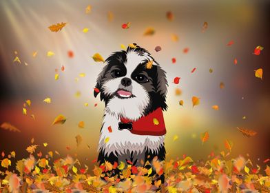 cute dog in automn leaves