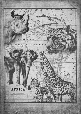 Vintage Safari Wildlife