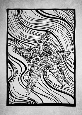 Flurry Starfish