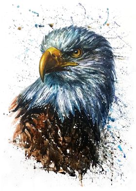 American eagle watercolor