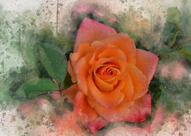 Painted orange rose