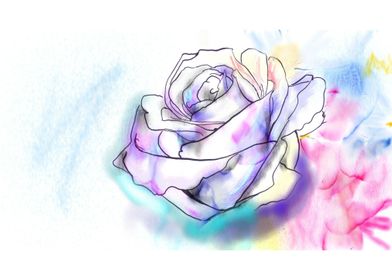 Pastel Rose