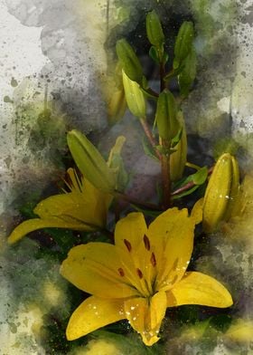 Painted yellow lily
