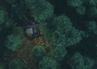 Lonely house in forest
