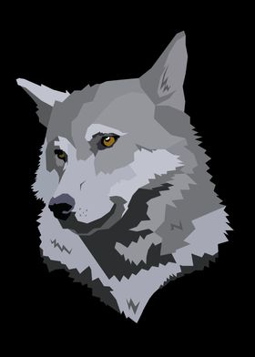 Gray wolf 