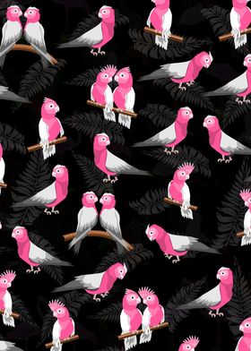 Galah pattern