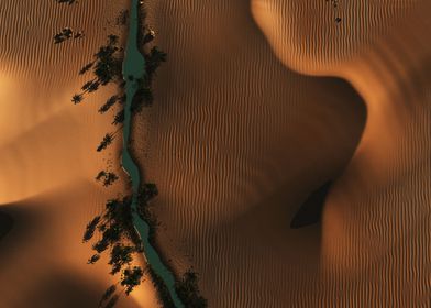 River and dunes