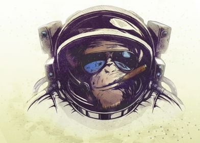 Monkey Astronaut